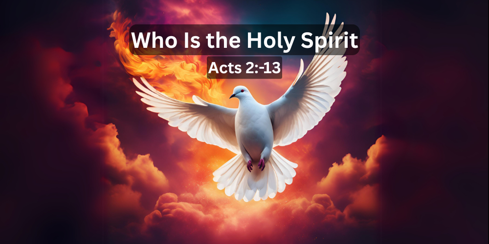 Latest Sermon